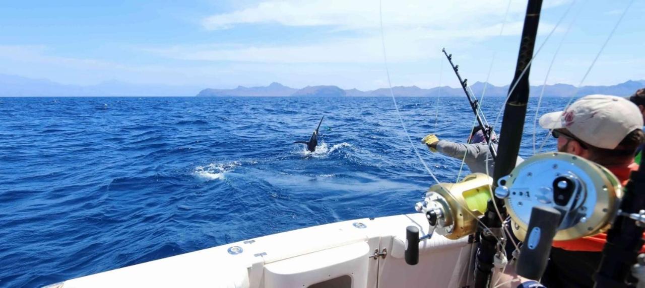 El Pisito La Dolce Vita Puerto del Carmen  Eksteriør billede